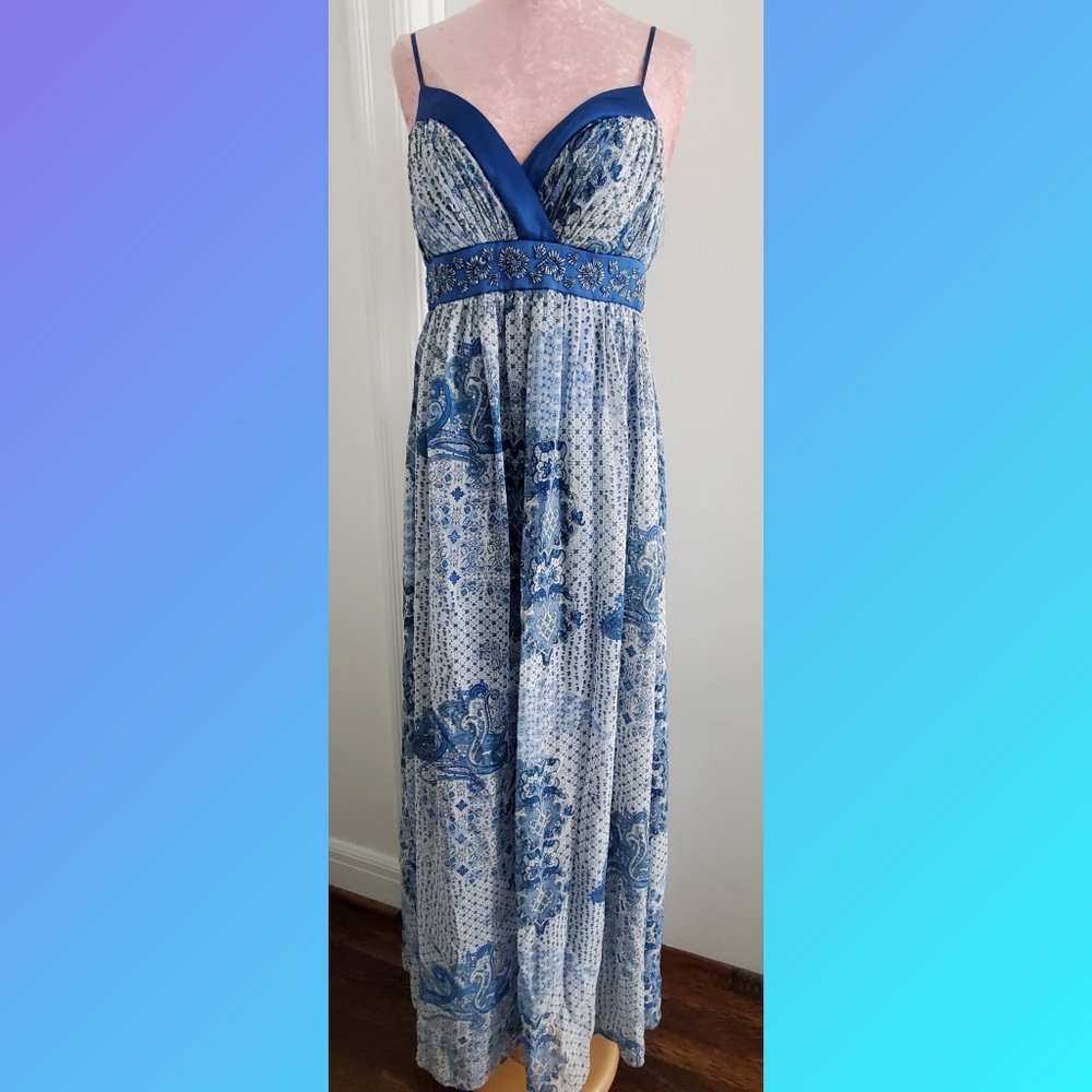 Silk Maxi‎ Dress OC by Oleg Cassini Size 4
